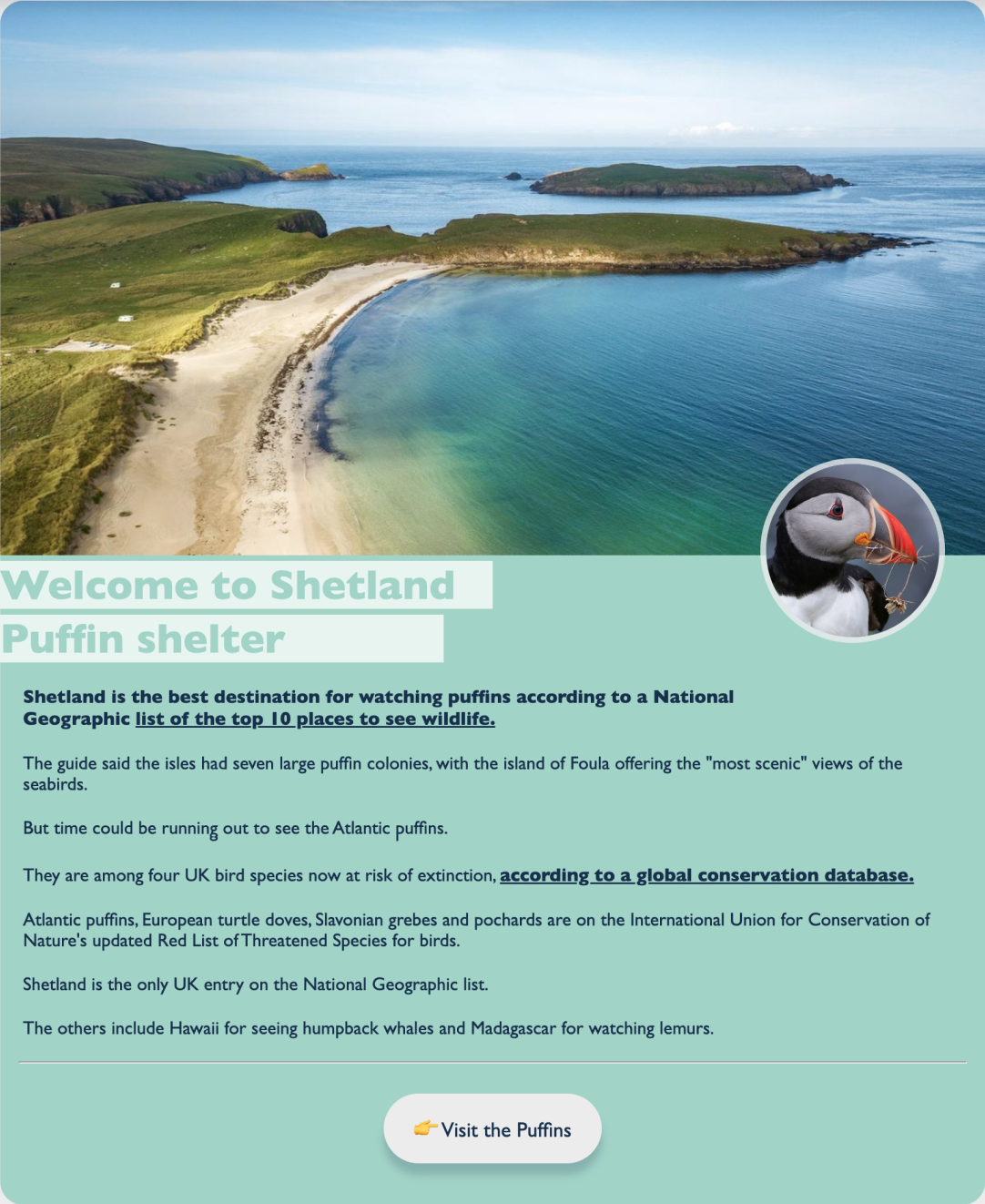 Shetland project preview